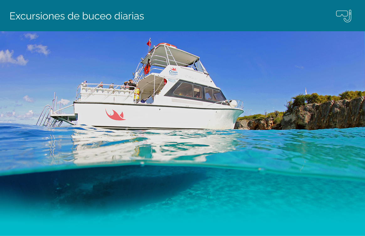 Daily Diving Trips – Spanish