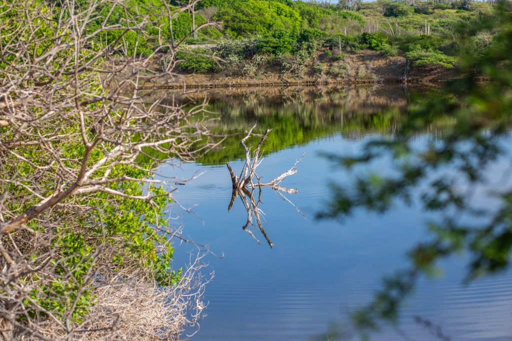 Curacao’s natural beauty: the coast