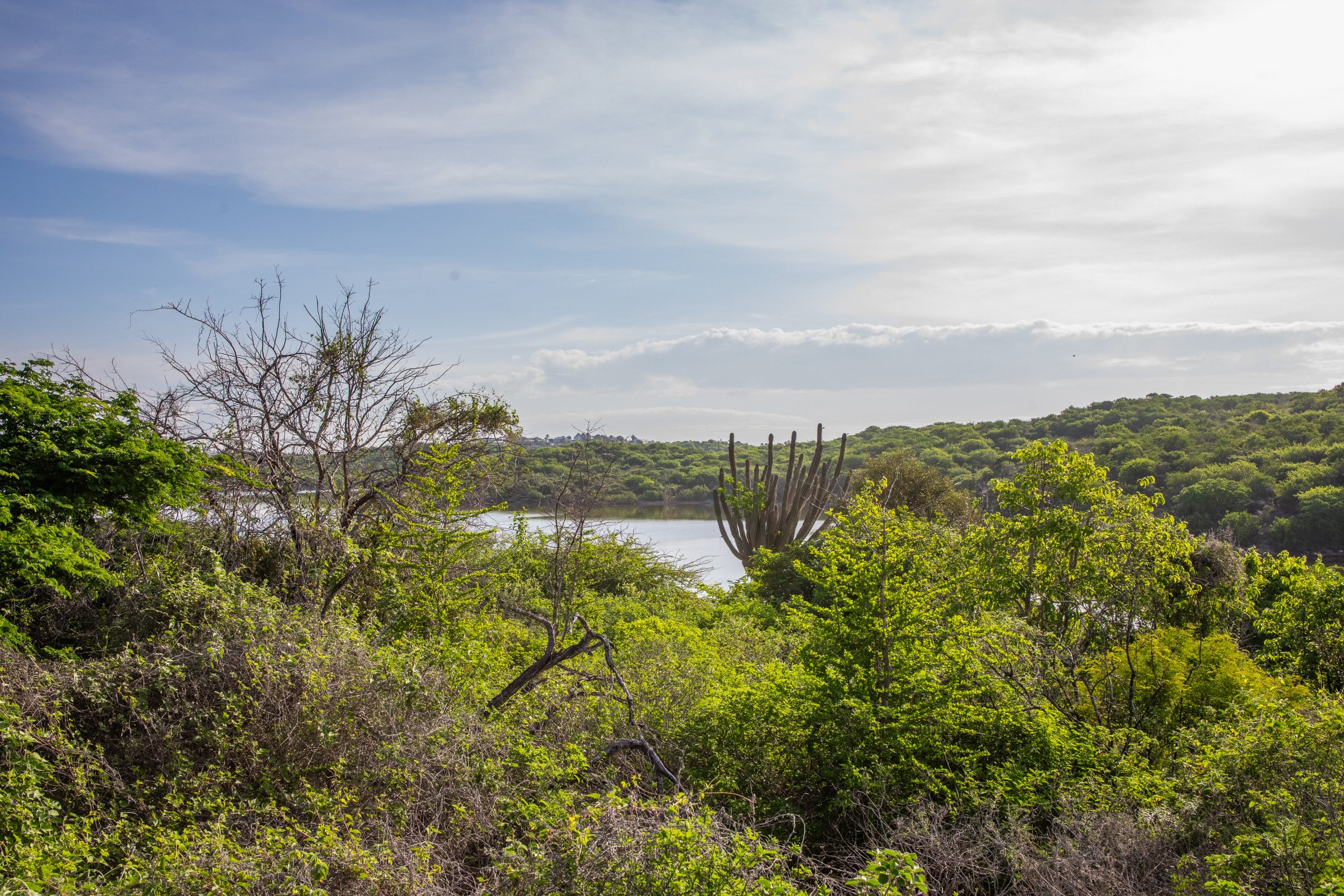 Paisagens exuberantes e águas azuis exibindo a beleza natural de Curaçao