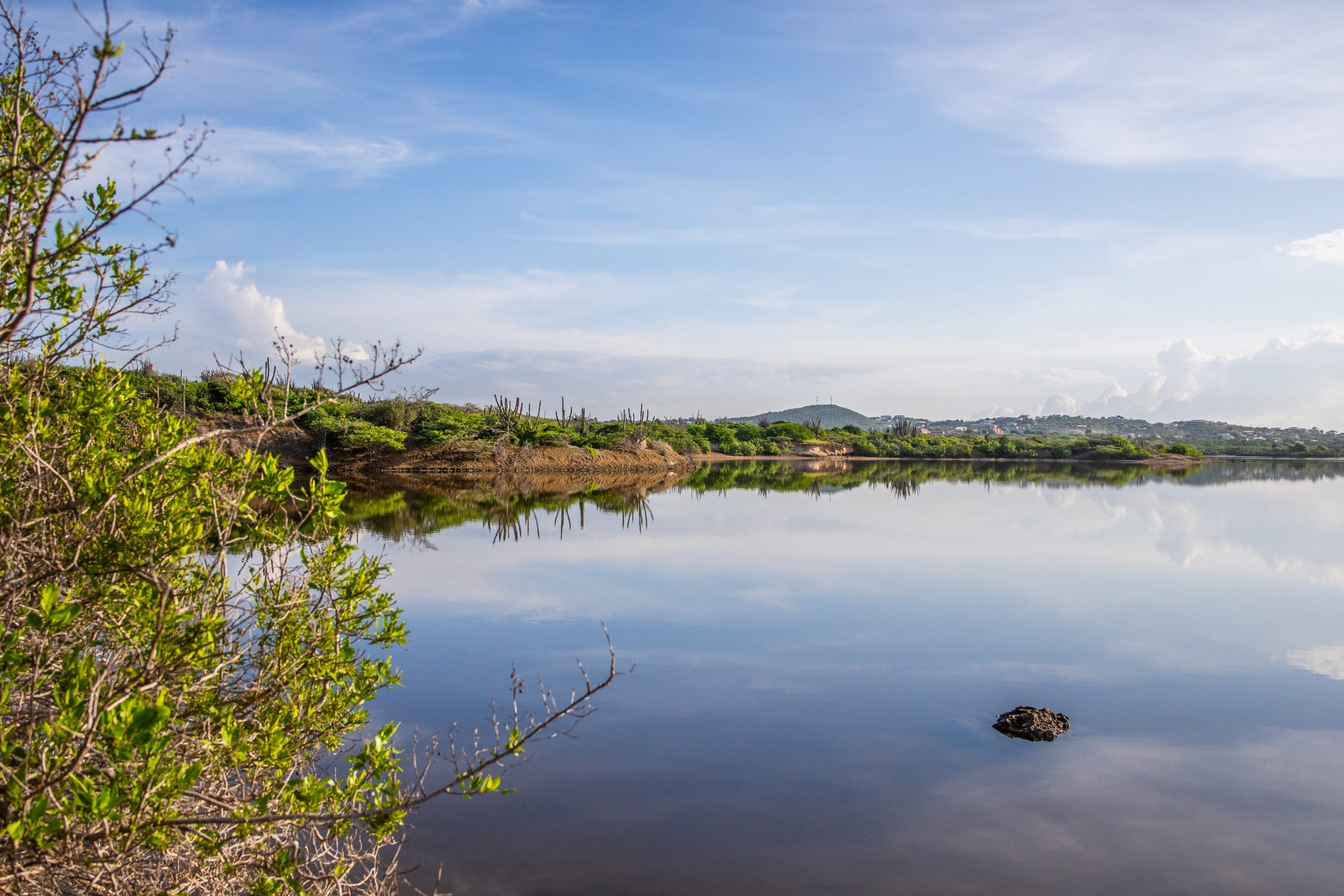 Descubra Atividades Eco-Friendly em Curaçao