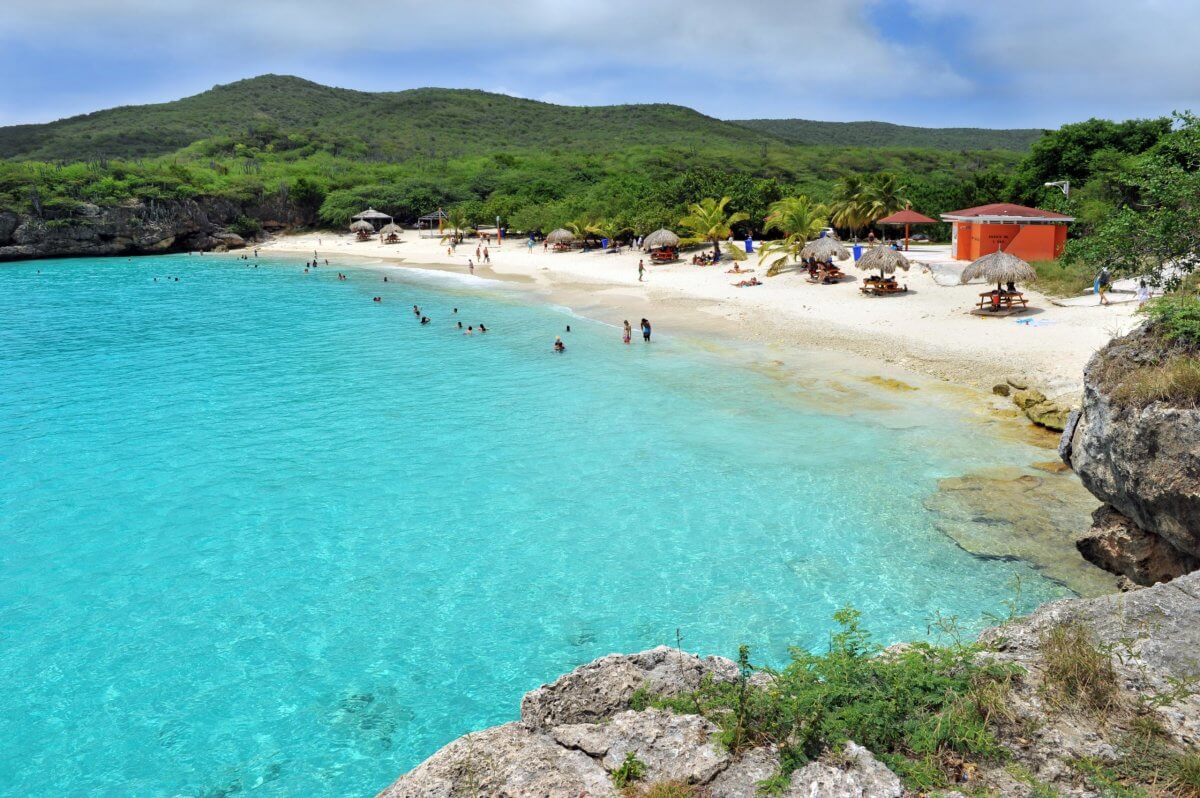 Canada to Curacao view of scuba diver and dolphin by coral reefs