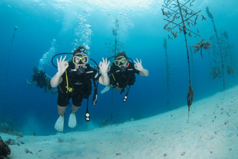 Best Curacao vacation"