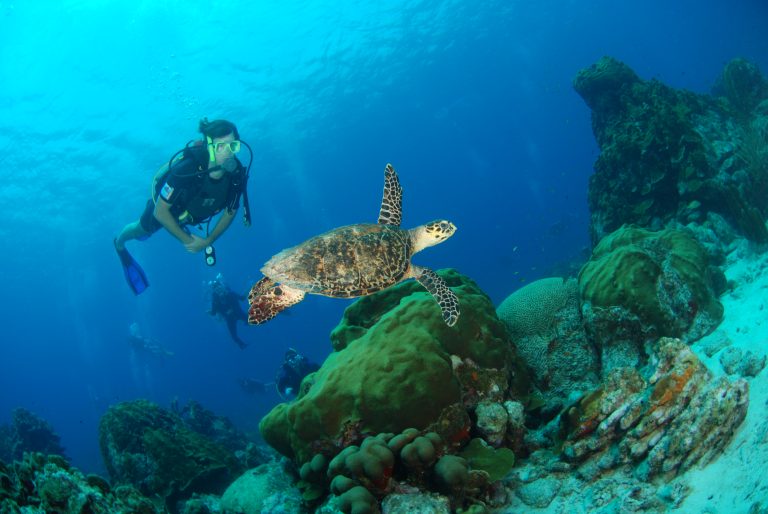 Best Curacao vacation"