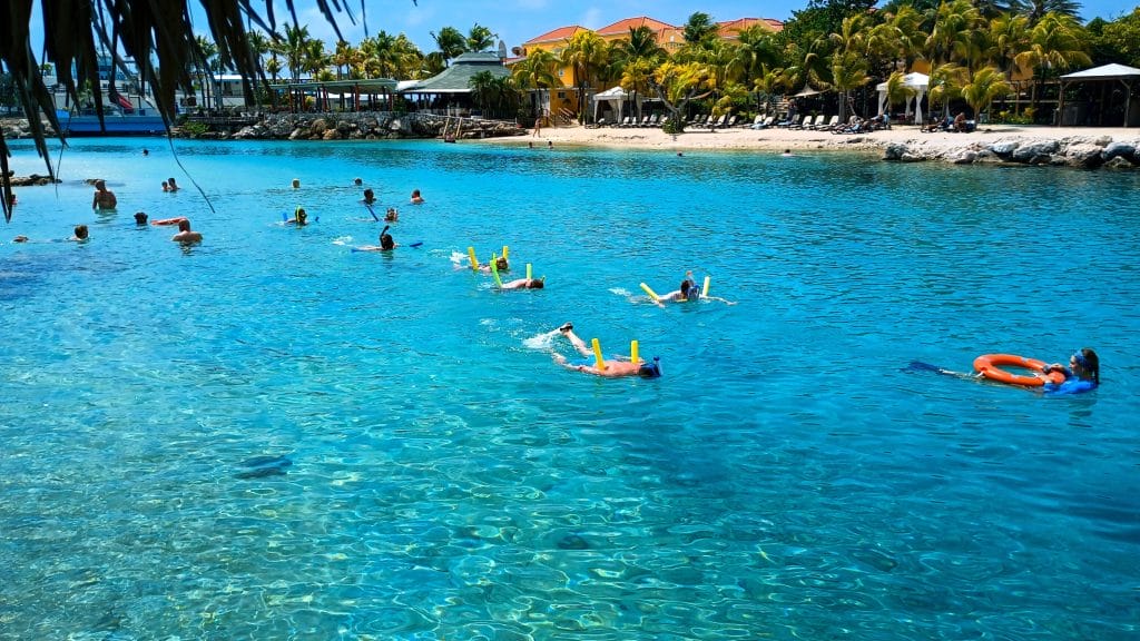Bruisend zeeleven dat goed gaat op een hersteld koraalrif bij LionsDive in Curaçao