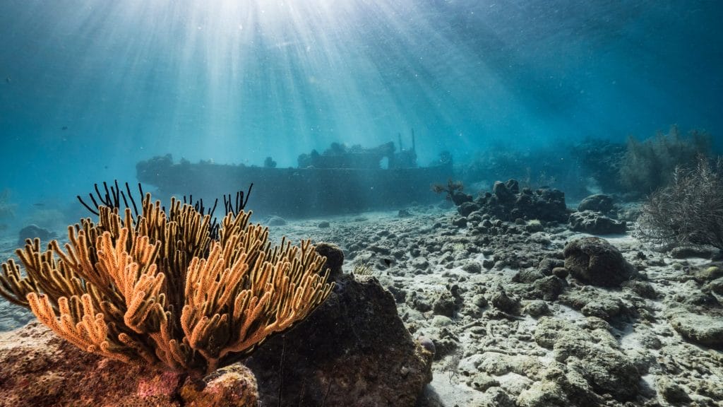 Bela praia com falésia rochosa em uma excursão de um dia em Curaçao
