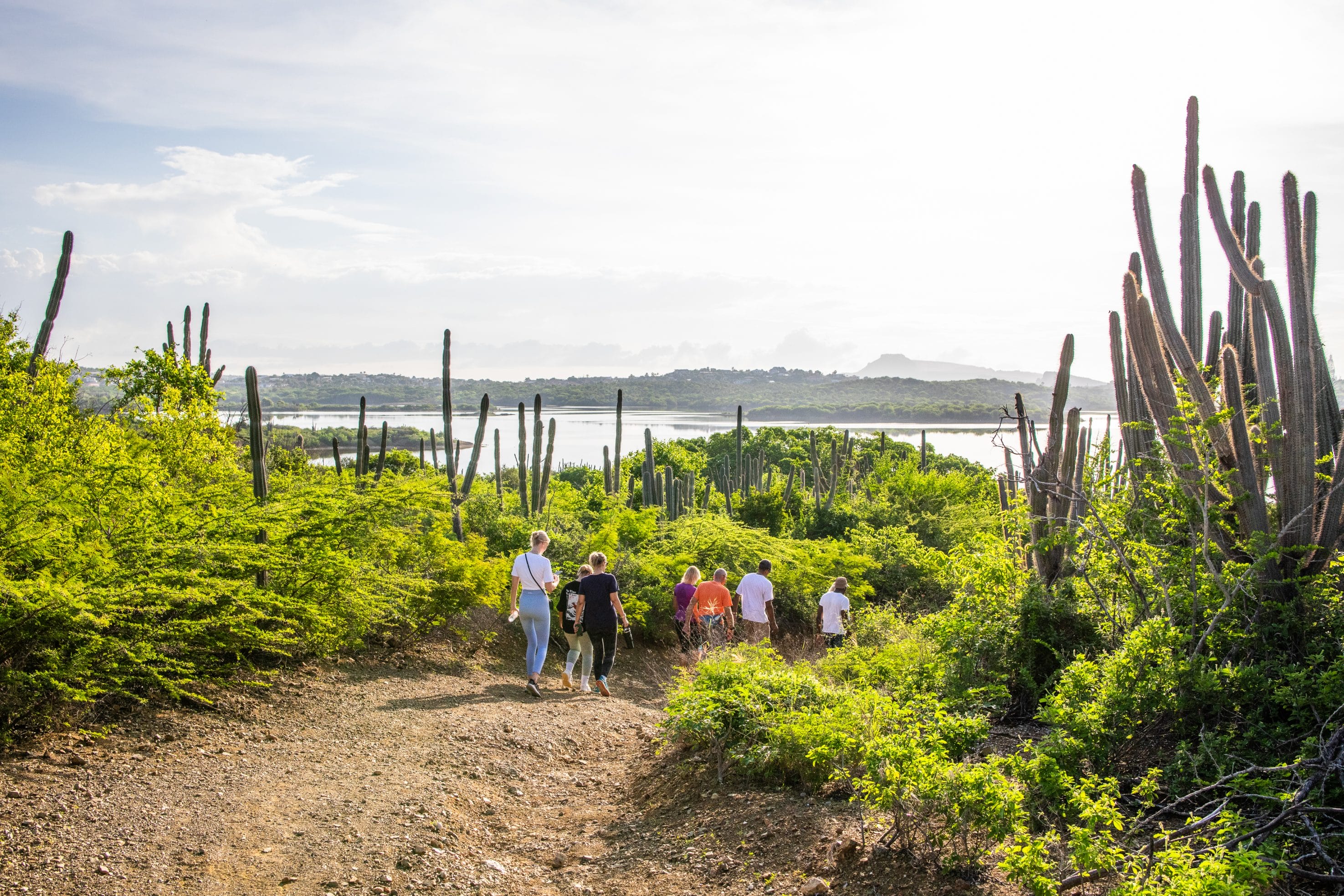 Gast wandert durch die Salzpfannen während der Trockenzeit auf Curacao