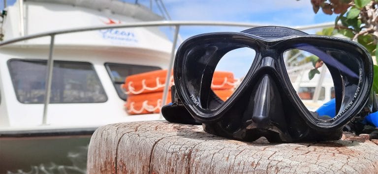 Ocean Encounters Mask at LionsDive Beach Resort